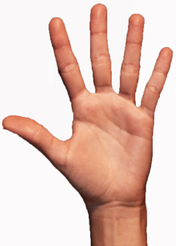 hand five fingers - www.TaxMan123.com