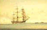 ship www.WhalingCity.net