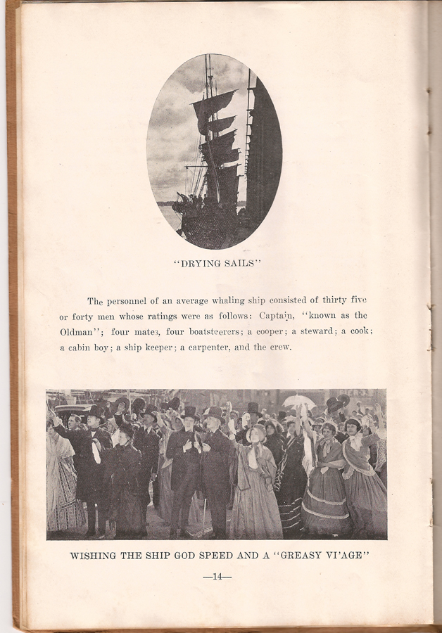 Down To The Sea In Ships - Programme booklet - Page 14 - WhalingCity.net